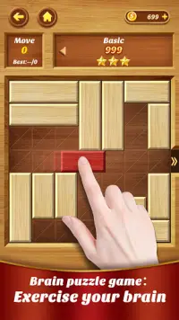 Wood Unblock Master Screen Shot 1