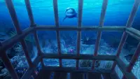 VR Abyss: Sharks & Sea Worlds Screen Shot 1