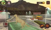 Labrador-simulator Screen Shot 2