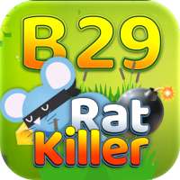 B29 - Rat Killer