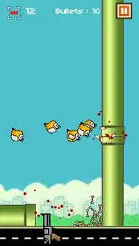 Epic Birds Crush Screen Shot 0