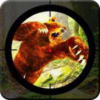 Real Jungle Bear Sniper Shooting