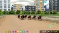 Pick Horse Racing Screen Shot 3