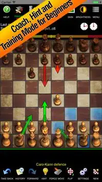 Free Chess Screen Shot 0