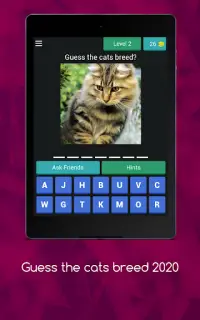 Cat Quiz - Guess The Cat Breed 2020 Screen Shot 8