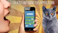 Cat Translator 3D sound Screen Shot 1