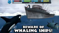Orca Simulator Screen Shot 11