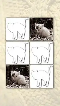 Puzzle Games free: Cute Cats Screen Shot 3