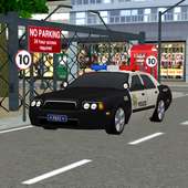liberty police auto road sim