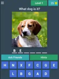Guess The Dog Breed Quiz Screen Shot 5