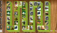 Mahjong Fauna-Animal Solitaire Screen Shot 12