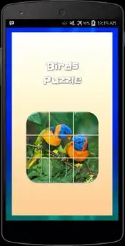 Birds Puzzle Screen Shot 0