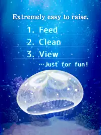 Jellyfish Pet Screen Shot 7