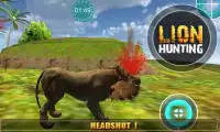 Wild Lion Sniper Shooter Screen Shot 2
