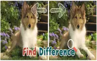 Find 5 Differences : Puppies Screen Shot 0