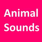 Animal Sounds for kids