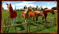 Horse Show Jumping Challenge Screen Shot 12