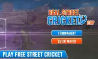 Real Street Cricket Cup 2017 Screen Shot 0