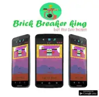 breaking bricks King Screen Shot 0