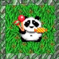 Panda's Candy Carnival