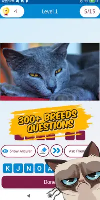 Guess the cat breed game Screen Shot 3