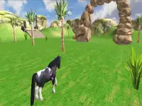 Caballo lindo Pony Simulador Screen Shot 16