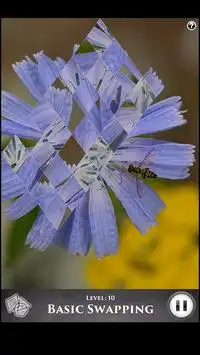 Hidden Scenes - My Little Bees Screen Shot 2
