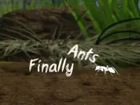 Finally Ants Screen Shot 0
