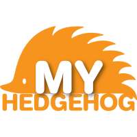My Hedgehog