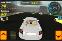 Race Cars Circuit Racing Game Screen Shot 0