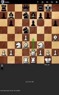 Shredder Chess Screen Shot 1