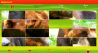 Bear Puzzle Screen Shot 6
