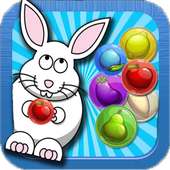 Rabbit Fruits Shoot Dash