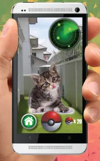 Pocket Kitten Cats GO Screen Shot 1