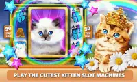 Casino Kitty Free Slot Machine Screen Shot 2