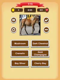 Horse Coat Colors Quiz Screen Shot 15