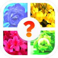 Flower Quiz Game (Flower Name Word Game)