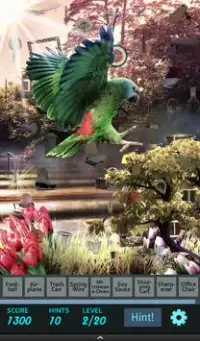 Hidden Object - Birds Aviary Screen Shot 3