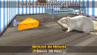Mouse in House Drive 3D Free Screen Shot 0