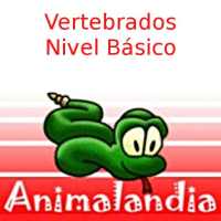 Animalandia Vertebrados 1