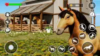Wild Horse Family Life Game Screen Shot 3