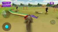 Crocodile Attack Simulator Screen Shot 4