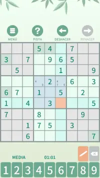 Sudoku. Puzle lógico. Screen Shot 0