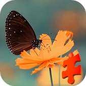 Beautiful Butterfly Jigsaw Puzzle Game