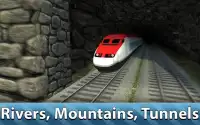 Europe Train Simulator 3D Screen Shot 2