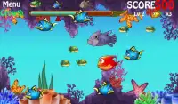 Big Fish Eat Small Fish Game Screen Shot 3