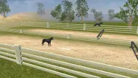 Rottweiler Dog Life Simulator Screen Shot 3