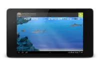 Wonder Fish Permainan Free HD Screen Shot 12