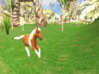 Cute Horse Pony Ride-Simulator Screen Shot 7