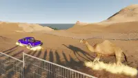 Safari Desert Monster Truck Camel Race 🐪 🦙🐫 Screen Shot 9
